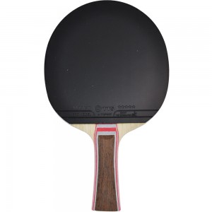 Ракетка TTS MASTER PRO SEVEN