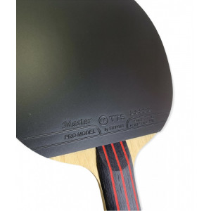 Набор Ракетка TTS MASTER PRO MODEL FL + Чехол Basic Line розовый