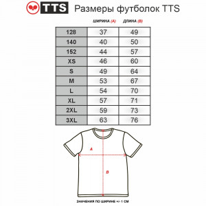 Футболка TTS RUSSIA синий