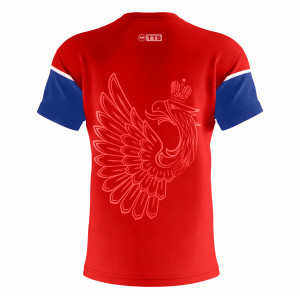 Футболка TTS RUSSIA красный