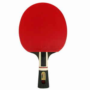 Ракетка TTS POBEDA V3 FL