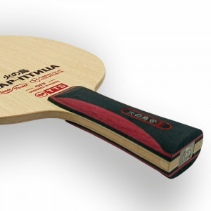 Основание TTS ЖАР ПТИЦА