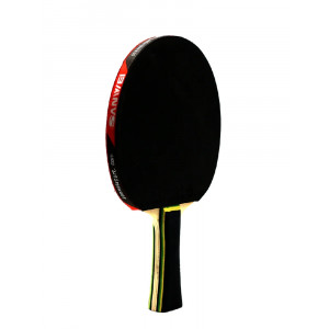 Ракетка Sanwei TAIJI 210 FL