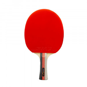 Ракетка Sanwei TAIJI 310 FL