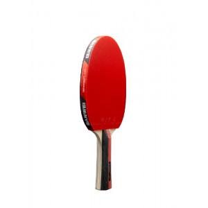 Ракетка Sanwei TAIJI 310 FL