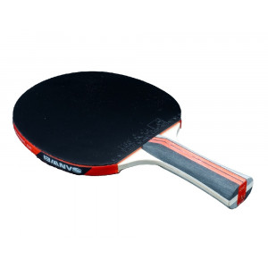 Ракетка Sanwei TAIJI 310 FL